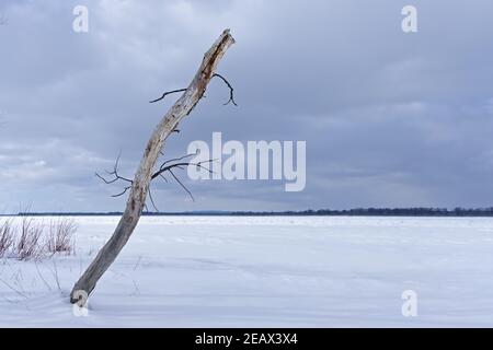 Magnifique paysage d'hiver canadien surgelé au bord de la rivière des Outaouais à l'île Petrie, Ottawa (Ontario), Canada. Banque D'Images