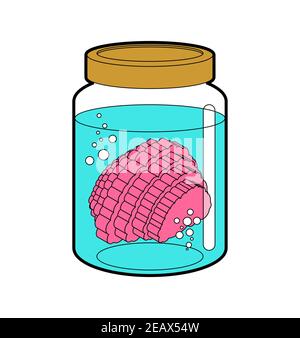 Cerveau dans un pot en verre. Brainss dans un bol de verre. Illustration vectorielle Illustration de Vecteur