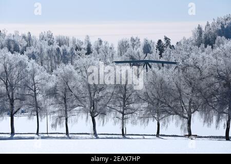 Arbres de saules congelés et construction de ponts en acier en hiver léger Banque D'Images