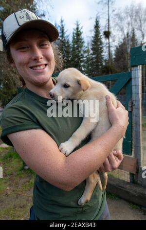 Chena Kennel au Chena Hot Springs Resort de Fairbanks, en Alaska, propose des promenades en traîneau à chiens en hiver et en voiturette à chiens en été Banque D'Images