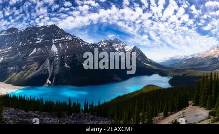 Lac Peyto vu du sommet d'une montagne Banque D'Images