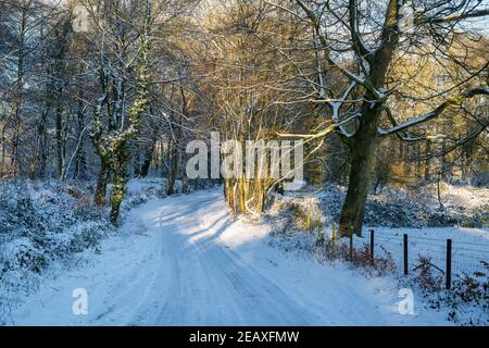 Soleil matinal le long d'une route de campagne dans la neige. Près de Chipping Norton, Cotswolds, Oxfordshire, Angleterre Banque D'Images