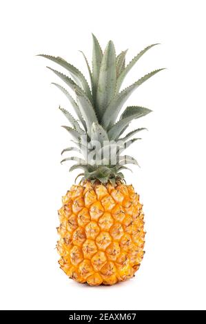 délicieux ananas sur fond blanc Banque D'Images