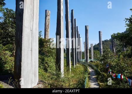 Chemin de la sagesse près du monastère de po Lin, où se trouve la statue de Tian Tan ou de Grand Bouddha sur l'île de Lantau, à Hong Kong. Le chemin se compose de trente-huit woode Banque D'Images