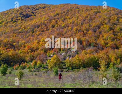 Parc national des Abruzzes, Latium et Molise (Italie) - l'automne avec le feuillage dans la réserve naturelle de montagne, avec les petites villes, le lac de Barrea, Camosciara Banque D'Images