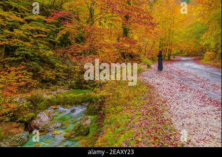 Parc national des Abruzzes, Latium et Molise (Italie) - l'automne avec le feuillage dans la réserve naturelle de montagne, avec les petites villes, le lac de Barrea, Camosciara Banque D'Images