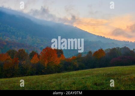 Paysage d'automne brumeux au coucher du soleil. Avec des feuilles d'arbres colorées. Forêt mixte. Zone protégée, réserve naturelle Horná Súča, Slovaquie. Banque D'Images