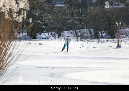 ZUTPHEN, PAYS-BAS - 10 févr. 2021: Patineuse solitaire sur le lac naturel gelé l'après-midi ensoleillé froid avec des marques de neige au premier plan et végétati Banque D'Images