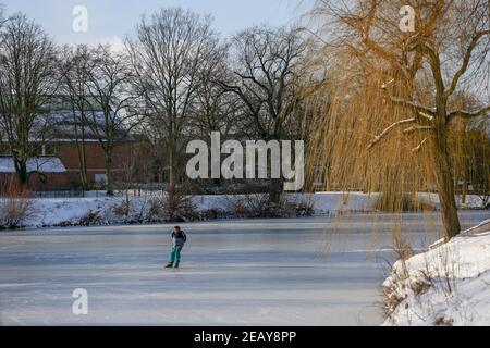 ZUTPHEN, PAYS-BAS - 10 févr. 2021 : arbre aux branches colorées, stérile d'hiver se tenant du côté d'un patineur récréatif solitaire sur la nature Banque D'Images