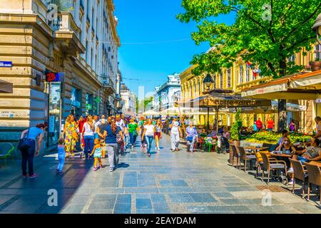 BELGRADE, SERBIE, le 26 AOÛT 2017 : les gens se promenent dans la rue mihaila à genoux, à belgrade, en serbie. Banque D'Images