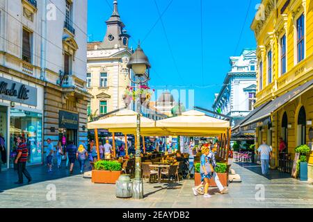 BELGRADE, SERBIE, le 26 AOÛT 2017 : les gens se promenent dans la rue mihaila à genoux, à belgrade, en serbie. Banque D'Images