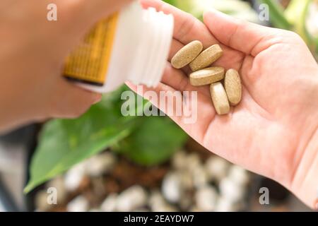 Vue du dessus de la médecine organique alternative ou de supplément de viatmin de fines herbes comprimé sur la main de femme avec le fond d'espace d'auteur. Concept d'eatin sain Banque D'Images