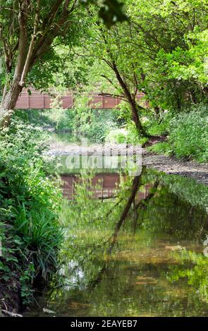 Une section naturelle de la rivière Ravensbourne qui traverse Ladywell Fields, Lewisham Banque D'Images