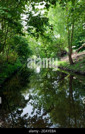 Une section naturelle de la rivière Ravensbourne qui traverse Ladywell Fields, Lewisham Banque D'Images