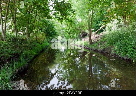 Une section naturelle de la rivière Ravensbourne qui traverse Ladywell Fields, Lewisham Banque D'Images