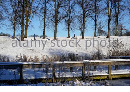 Édimbourg, Écosse, Royaume-Uni. 11 février 2021. Les gens apprécient de marcher sur un matin ensoleillé mais glacial dans un parc couvert de neige Inverleith. Crédit : Craig Brown/Alay Live News Banque D'Images