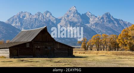 Moose, Wyoming États-Unis - 10 octobre 2020 : Barn Thomas A. Molton près de Mormon Row sur le chemin Antelope Flats à Moose, Wyoming. Les montagnes du Grand Teton. Banque D'Images