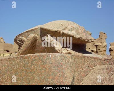 Egypte, scarabée du temple de Karnak à Louxor Banque D'Images
