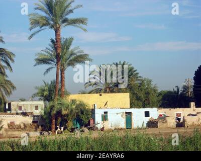 Egypte, village au bord d'un canal du Nil Banque D'Images