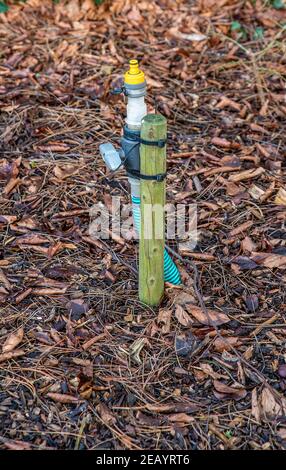 Système d'irrigation de jardin avec tuyau et connecteur venant de le sol sur poteau en bois Banque D'Images