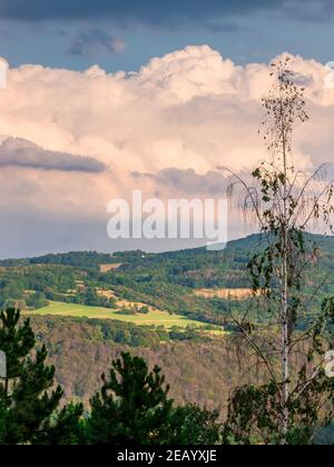 Paysage avec les pointes de pin et de bouleau. En arrière-plan est la montagne et le ciel avec mur massif de nuages. Banque D'Images