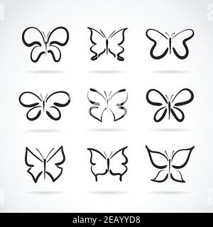 Groupe vectoriel de papillons dessinés à la main sur fond blanc. Insectes animaux. Illustration vectorielle superposée facile à modifier.