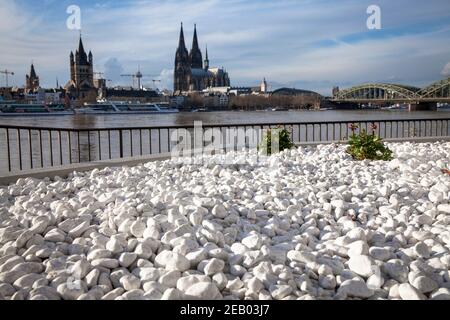 Vue sur un lit de gravier et le Rhin à la vieille ville avec l'église Gross St. Martin et la cathédrale, Cologne, Allemagne. Blick ueber in Schotterbe Banque D'Images