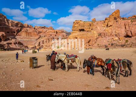 PETRA, JORDANIE, 3 JANVIER 2019 : Bédouins et jeunes ânes à Petra, Jordanie Banque D'Images