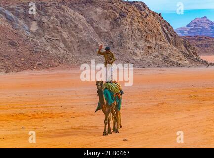 WADI RUM, JORDANIE, 5 JANVIER 2019 : un jeune bédouin debout sur un chameau traversant le désert de rhum wadi en Jordanie Banque D'Images
