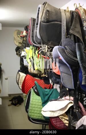 Gros plan des accessoires dans une salle de virement de bord à l'école d'équitation rurale. Espace de rangement avec fixation pour l'équitation Banque D'Images