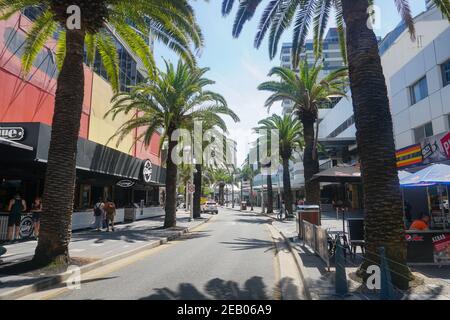 The Avenue Palm Trees Surfers Paradise Gold Coast Queensland Australie Stock photo stock Images stock Images Banque D'Images