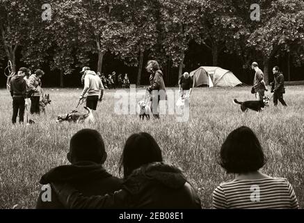 PARIS, FRANCE - 9 JUIN 2019 : cours de groupe de dressage de chiens en plein air dans la forêt de Vincennes. Une formation efficace des chiens renforce l'adhérence entre l'homme et l'animal. Photo sépia Banque D'Images