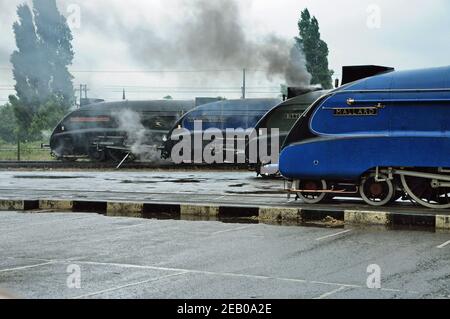 Faites la queue de quatre locomotives à vapeur survivantes de classe A4 Pacifique devant le Musée national des chemins de fer de York, en pluie battante. Banque D'Images