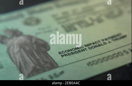 Un coup de fouet économique portant le nom du président de l'époque Donald Trump à New York le mardi 19 janvier 2021. (© Richard B. Levine) Banque D'Images