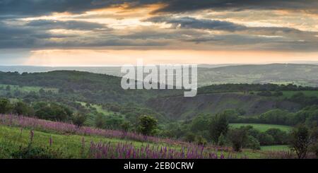 Vue sur Mendip Lodge Wood et Burrington Combe de Black Down dans les Mendip Hills, Somerset, Angleterre. Banque D'Images