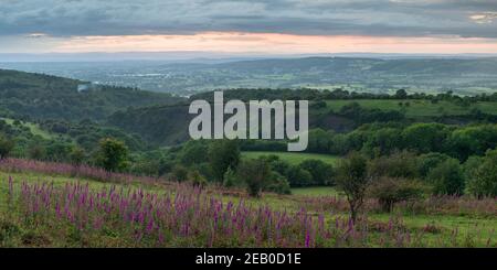 Vue sur Burrington Combe de Black Down dans les Mendip Hills, Somerset, Angleterre. Banque D'Images