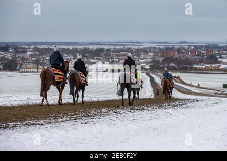 La photo datée du 9 février montre des jockeys et des chevaux de course hors entraînement sur la piste de tous temps à Newmarket, Suffolk, le mardi matin dans les températures glaciales et la neige environnante.plus de neige et de pluie est prévu pour les 48 prochaines heures comme Storm Darcy continue o apporter le mauvais temps dans certaines parties du pays. Banque D'Images