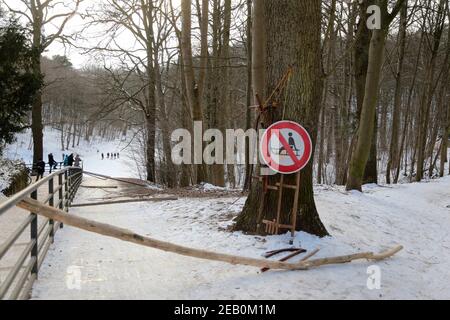 Promenades en traîneau à chiens dans le parc Schinkels, Hambourg-Blankenese Banque D'Images