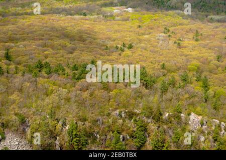 Vue aérienne du parc national de Devil's Lake, près de Baraboo, Wisconsin, États-Unis, lors d'une belle journée de printemps. Banque D'Images