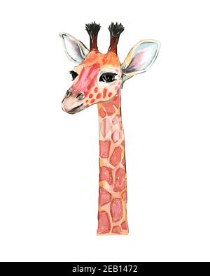 Aquarelle dessinée à la main, illustration colorée d'une girafe isolée sur fond blanc. Banque D'Images