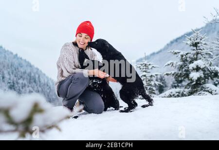 Une jeune femme en vêtements chauds marchant ses 2 chiens dans la montagne enneigée pittoresque en plein air. Une femme jouant avec des animaux de compagnie et un chien léchant la joue du propriétaire. Banque D'Images