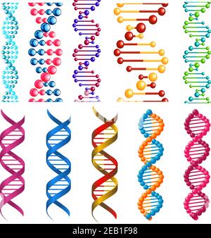 Molécules d'ADN colorées montrant la structure hélicoïdale ou la spirale torsadée motifs décoratifs dans des motifs verticaux sans couture pour les bordures et les cadres Illustration de Vecteur