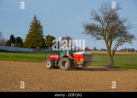 Kalveavoir Danemark - avril 17. 2018 : agriculteur sur un tracteur massey Ferguson pour l'épandage d'engrais Banque D'Images