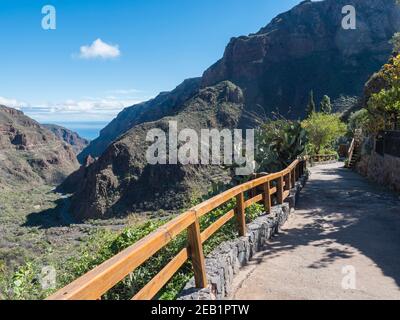 Barranco de Guayabee vue ravine du Montana de las Tierras avec chemin sinueux vers l'océan. Gran Canaria, île des Canaries, Espagne. Jour ensoleillé, bleu Banque D'Images