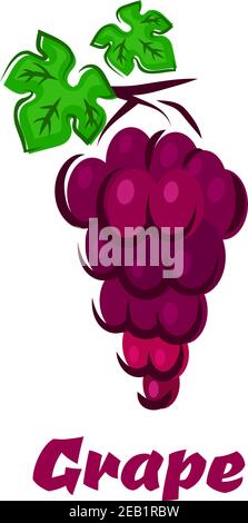 Affiche de groupe de raisin de style dessin animé montrant la vigne avec baies violettes rouges et feuilles sculptées isolées sur fond blanc Avec le prochain Grape Illustration de Vecteur