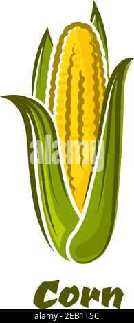 Maïs jaune frais mûr sur les légumes en épi avec long feuilles vertes de style dessin animé isolées sur fond blanc avec Légende maïs Illustration de Vecteur