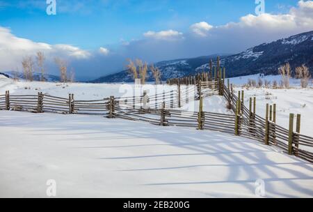 Parc national de Yellowstone, Wyoming : ombres de la ligne de clôture du parc dans la lumière de l'après-midi au ranch Lamar Buffalo dans la vallée de Lamar. Banque D'Images