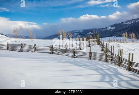 Parc national de Yellowstone, Wyoming : ombres de la ligne de clôture du parc dans la lumière de l'après-midi au ranch Lamar Buffalo dans la vallée de Lamar. Banque D'Images