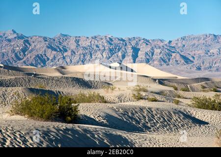 Les dunes de sable de Mesquite Flats, à l'extrémité nord du parc national de la vallée de la mort, en Californie. Banque D'Images