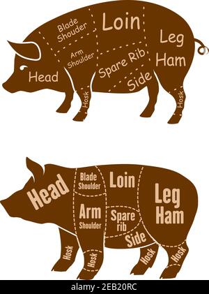 Cochons bruns viandés aux contours variés de différentes coupes de boucherie pour le design de l'atelier de vente au détail de porc et de boucher Illustration de Vecteur